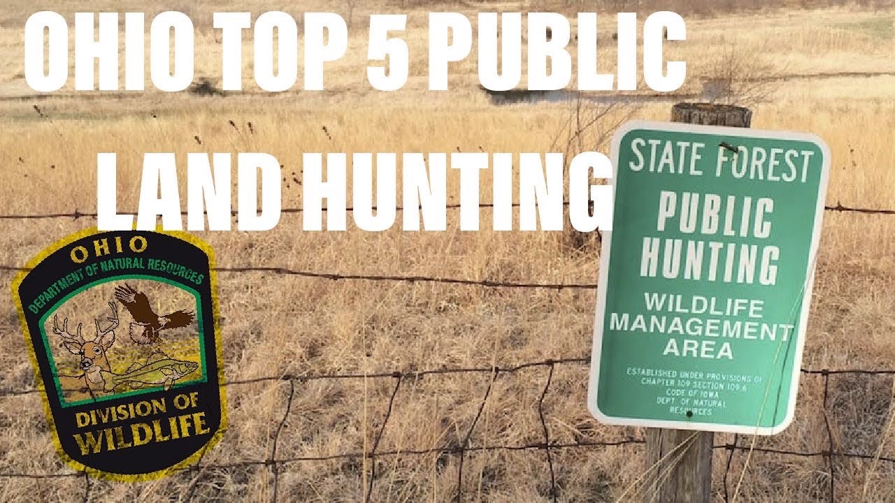 Top 5 PUBLIC LAND in Ohio!