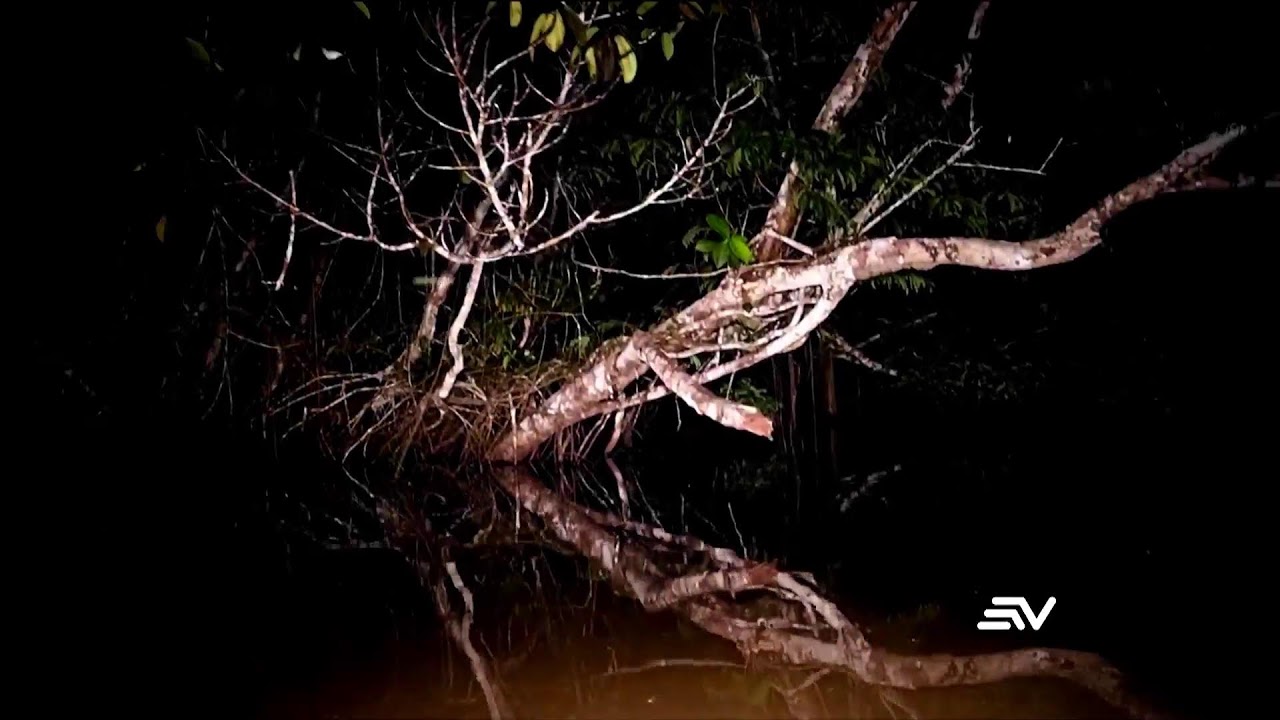 #ENVIVO🔴 | NOTICIERO ECUADOR TELEVISTAZO 7PM | 13 Marzo 2026