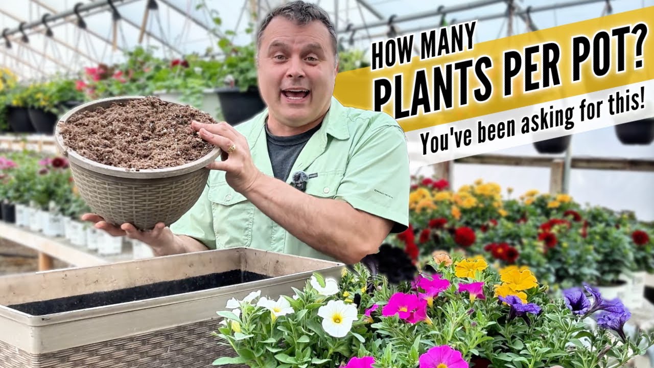The Right Number of Plants for Every Pot (with a Handy Reference Chart)