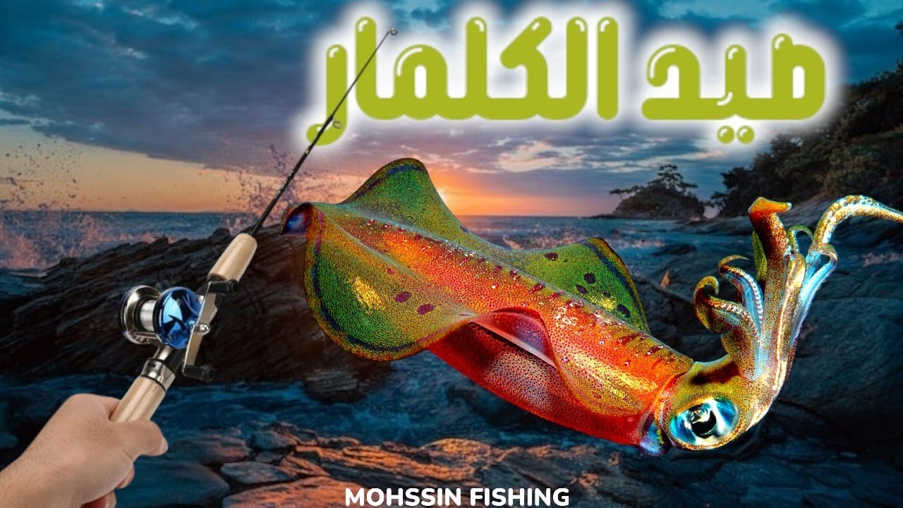 صيد الكلمار ب النهار و الليل وطريقة المونطاج  والمعدات المتواضعة والبصيطة#eging #moroco #fishing
