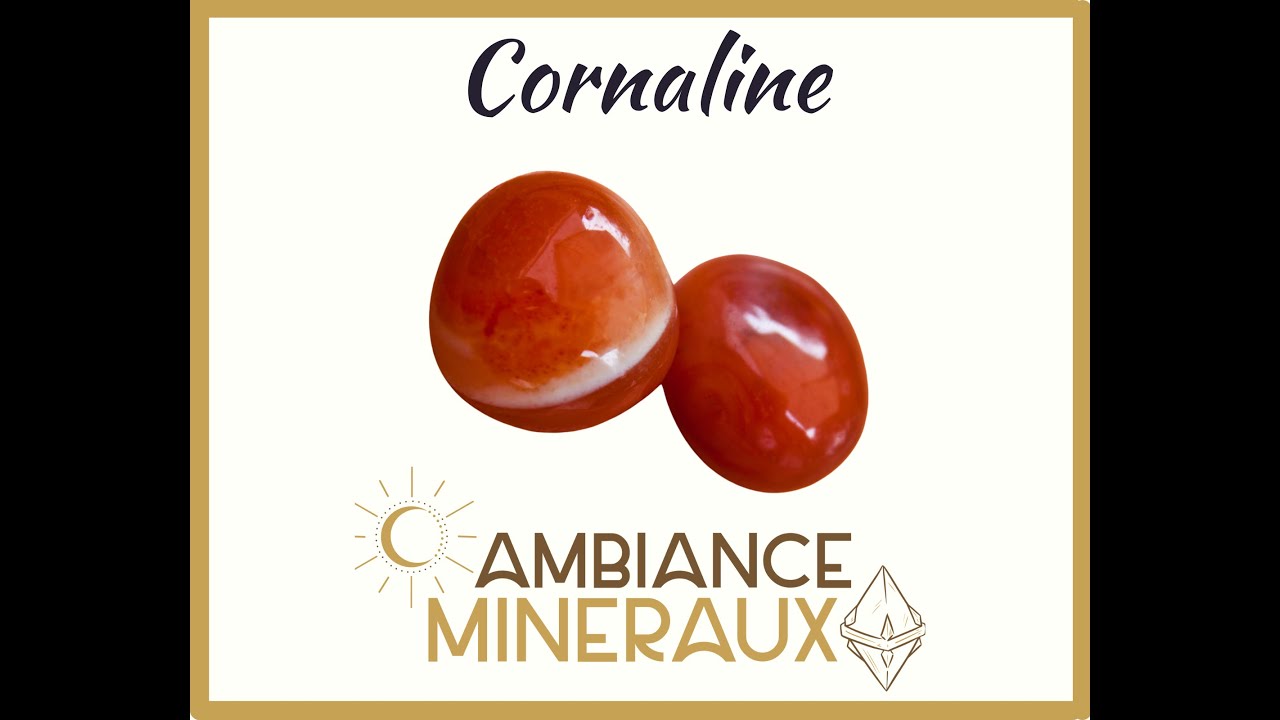 La Cornaline : Son histoire et ses propriétés. Une pierre très Yin.