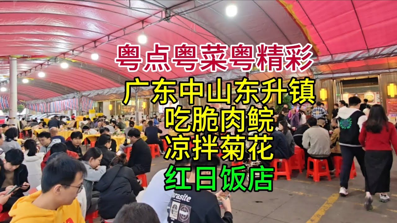粤点粤菜粤精彩，广东中山东升镇吃脆肉鲩，凉拌菊花，红日饭店，粤语中字幕2025-1-3