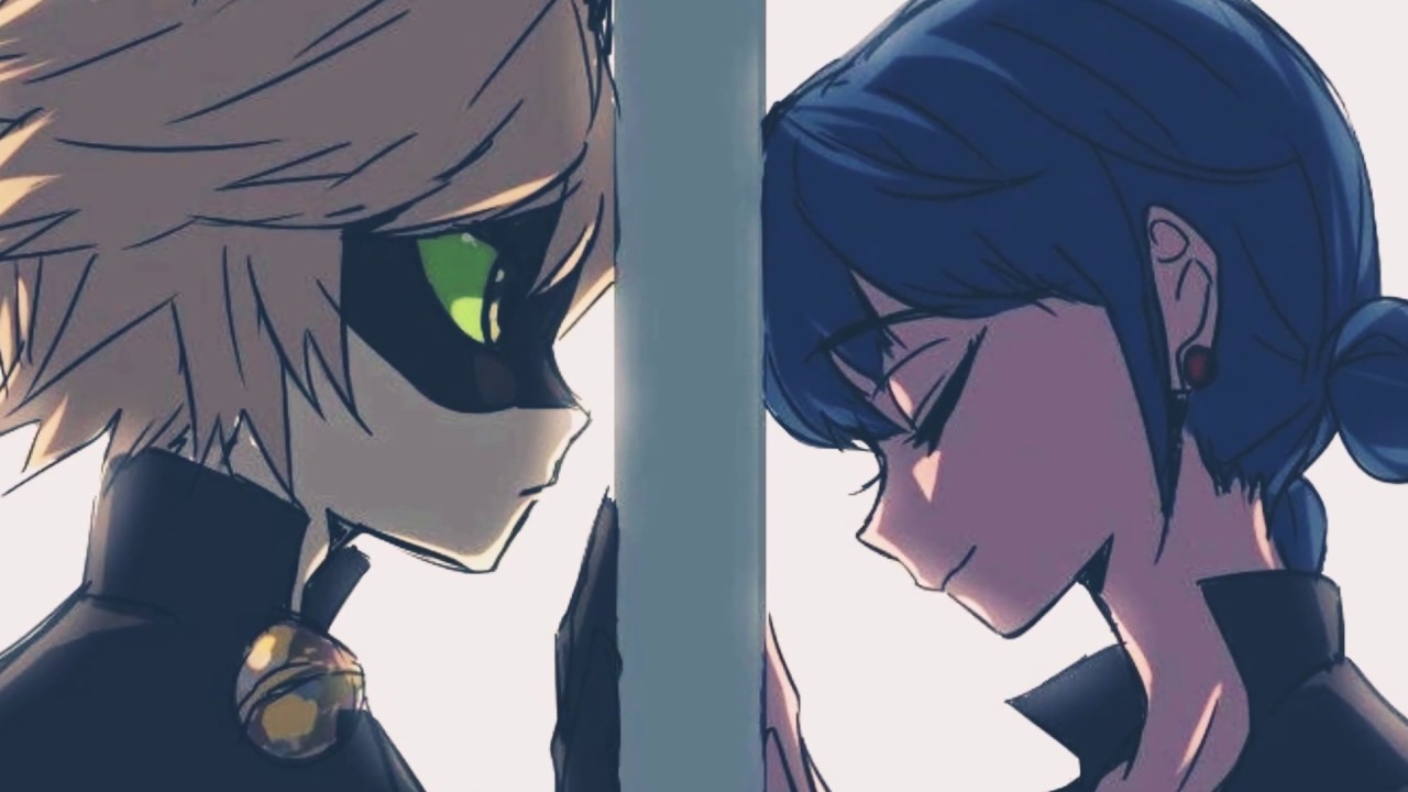 AMV | Miraculous | Marichat | Marry me