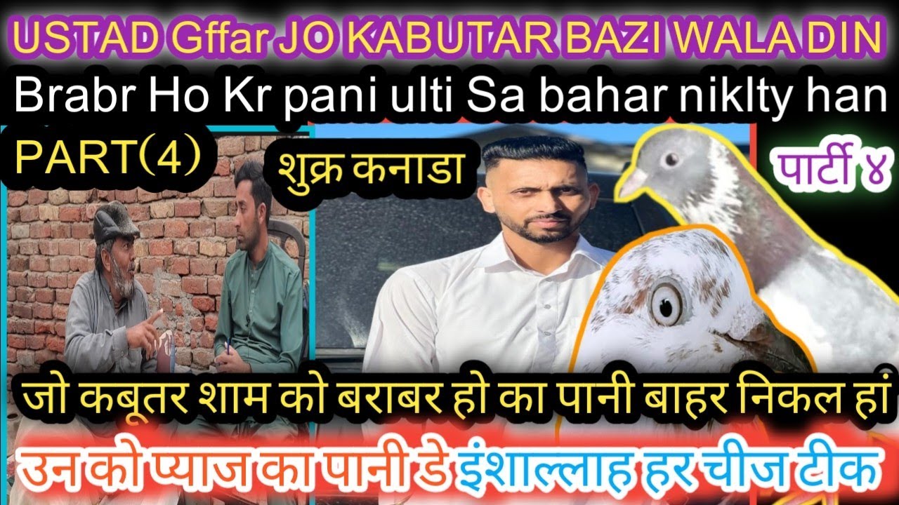 part(4) Jo kabutar bazi wala din pani ni torty|| un ko Ustad na bta dia|| चांद मिंटू मैं पहला की टी