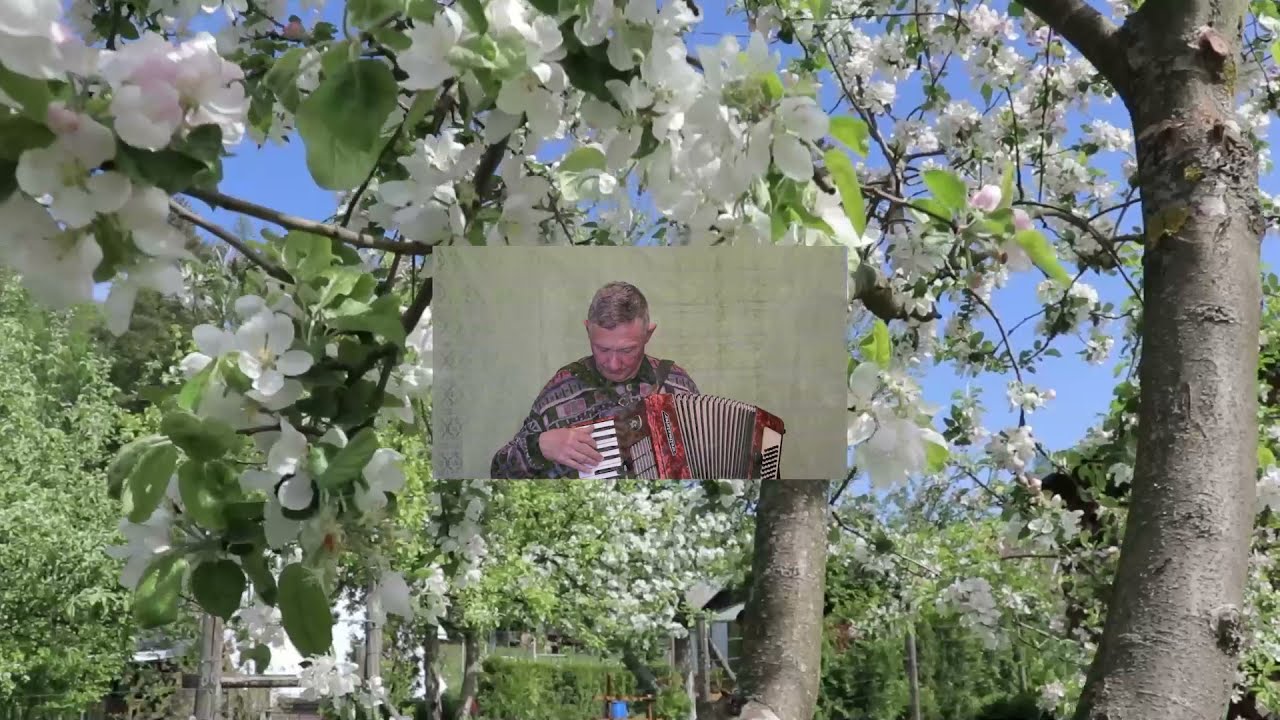 ''Obelų suktinis'' 2021 Vidas Akmantas