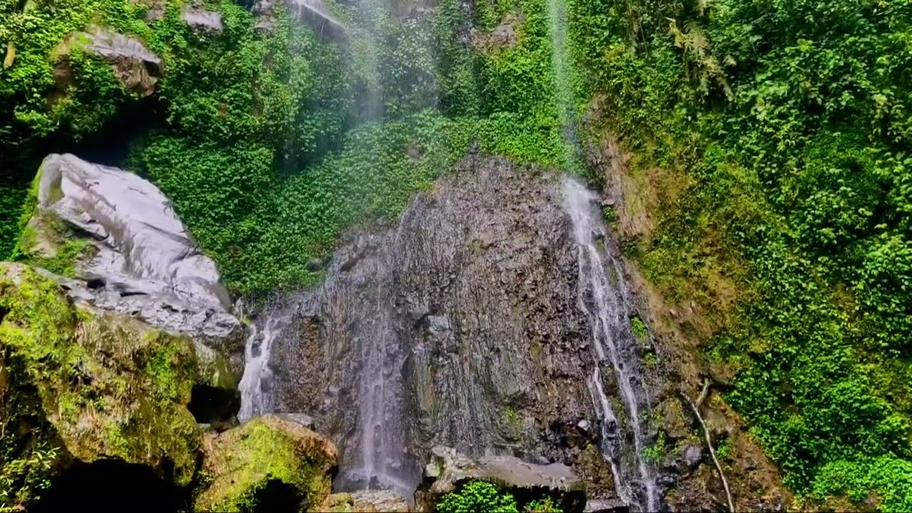 Deep Sleep Sounds  Peaceful River with Birds (8 Hours)