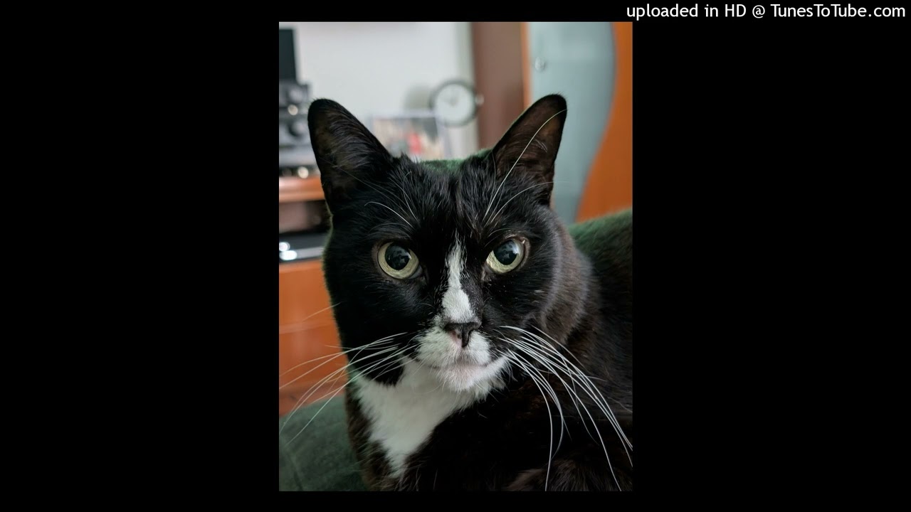 Tai2Talented☆ - Jump Up, Super Star!⭐(jersey club remix)