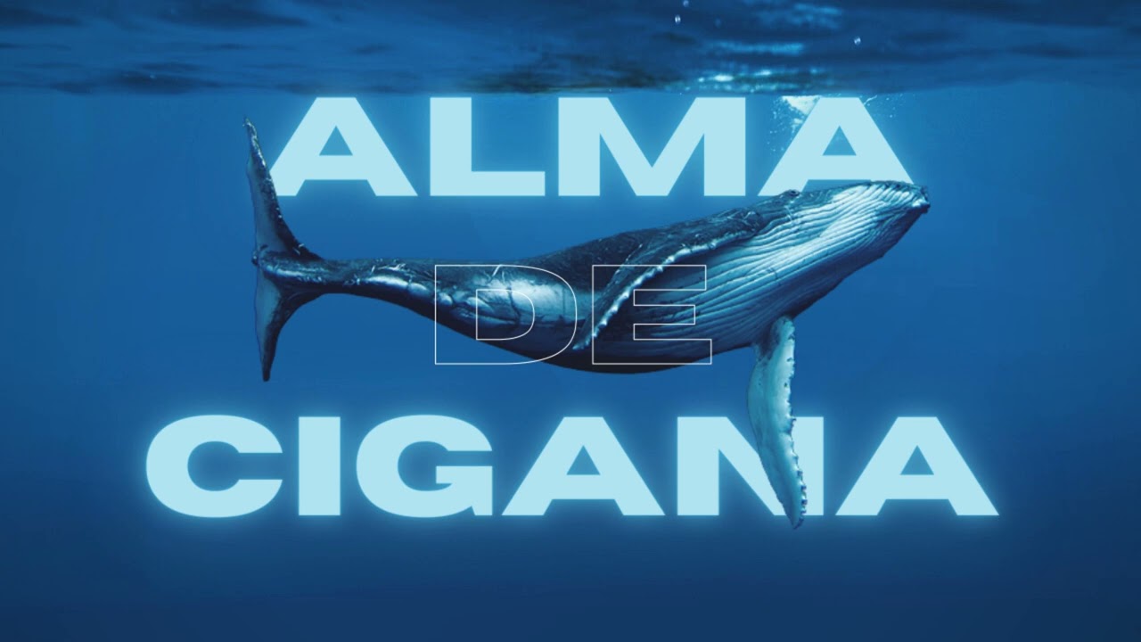 3030 - Alma de Cigana (Duhzeer Remix)