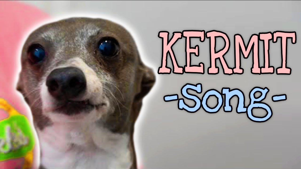 a song for kermit