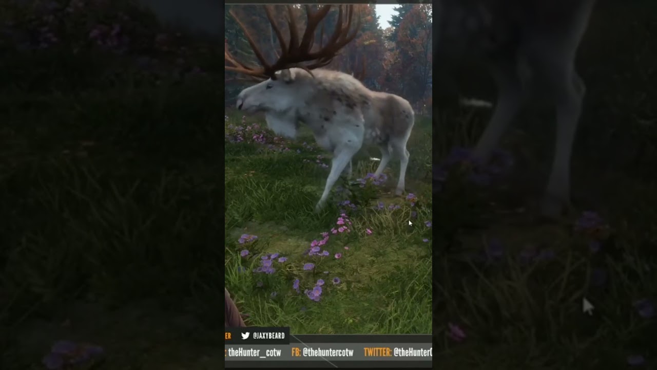 ALL 6 FUR TYPES of the GREAT ONE MOOSE!!! - Call of the Wild #shorts