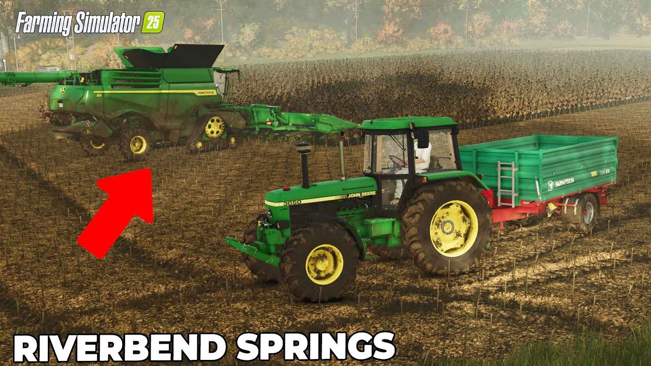 SUNFLOWER HARVEST FOR SUNFLOWER OIL | FARMING SIMULATOR 25