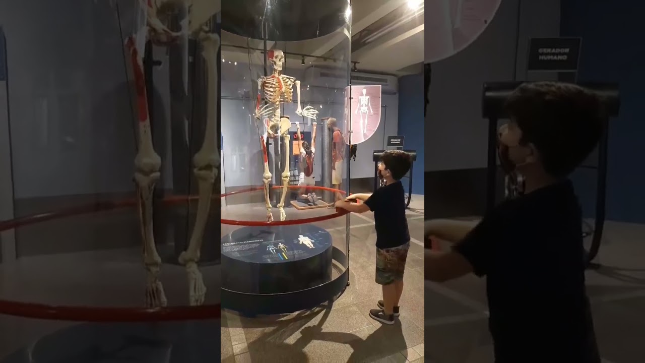 Balan&ccedil;ando o esqueleto