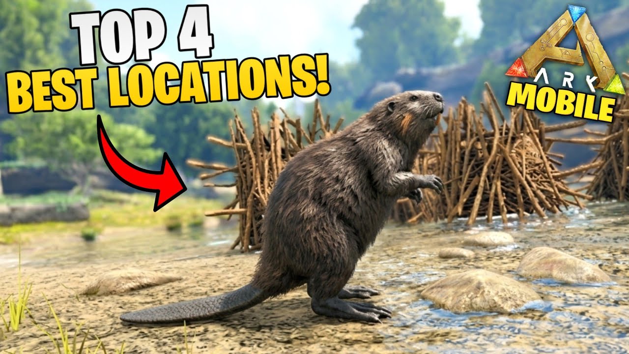 Top 4 Best Locations For Beaver Dams In ARK Mobile 😱| Cementing Paste Farming 🔥| ARK Ultimate Mobile