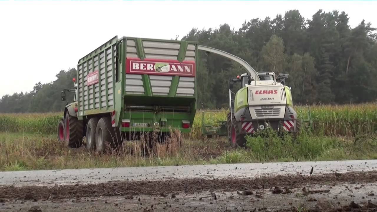 Schlammschlacht - Extrem Maishäckseln - LU Ruhland - Claas Jaguar 950