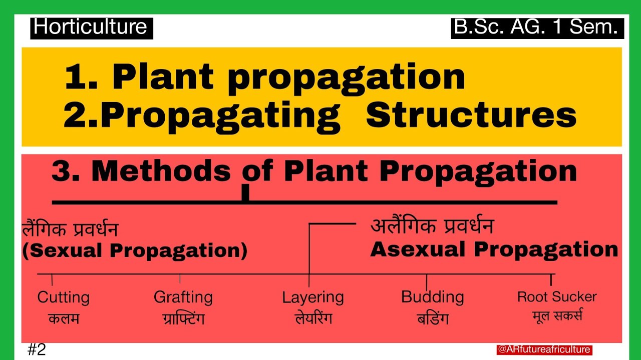 Plant propagation-methods and propagating structures | Horticulture  | B.Sc (Ag.) First Semester