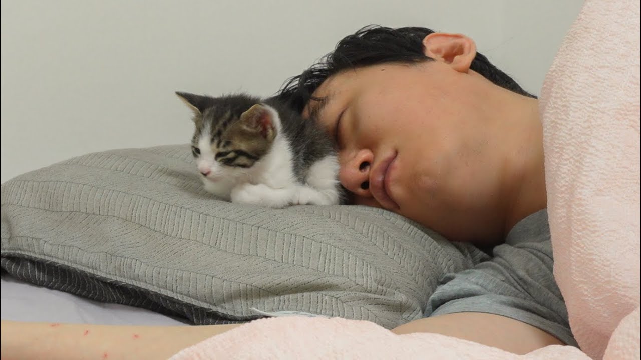 What Happens When You Sleep with a Baby Kitten!