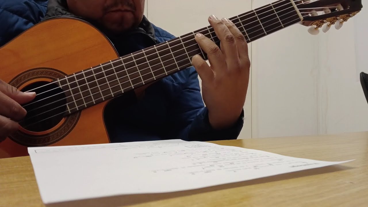 Penelope Diego Torres - Armonía Guitarra Takamine GC5CE-NAT