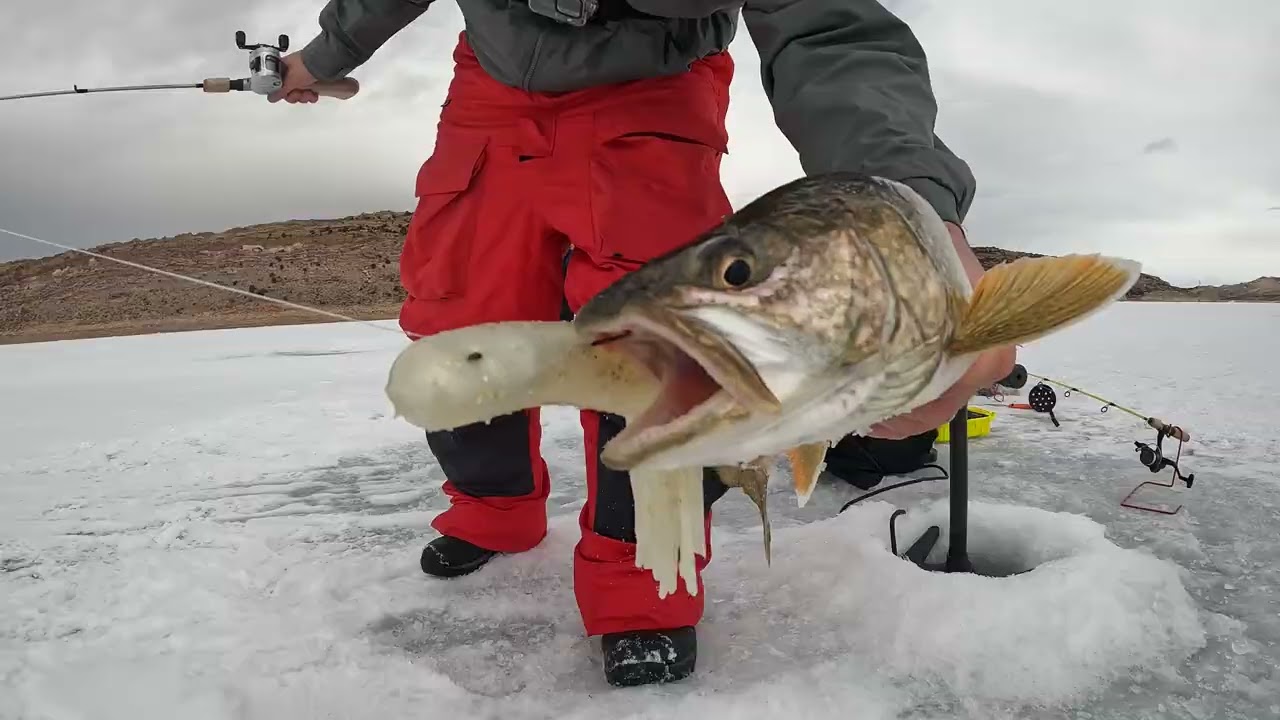 FLAMING GORGE LAKER TRIP 03-24-23