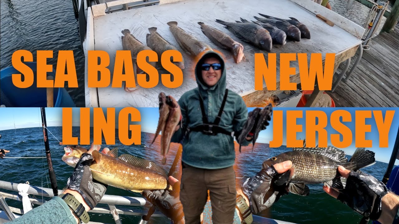 Black Sea Bass & Ling Fishing in New Jersey #fishing #ling #seabassfishing