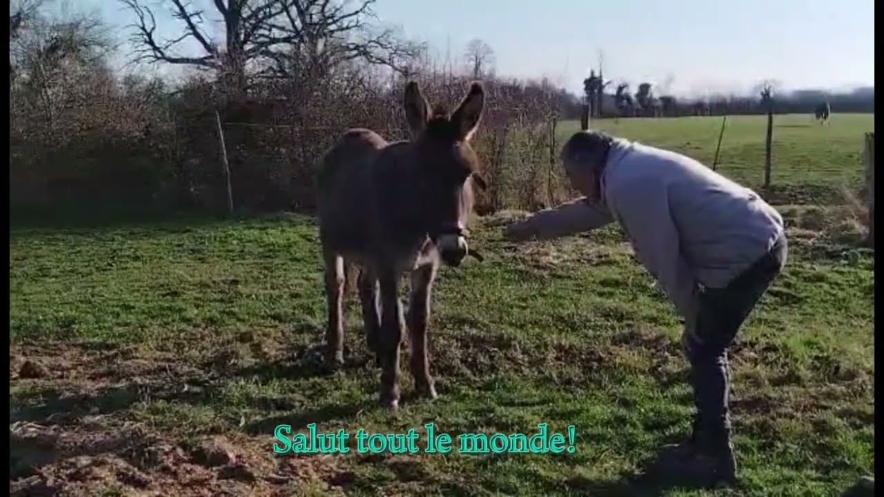 Le sauvetage de Christian