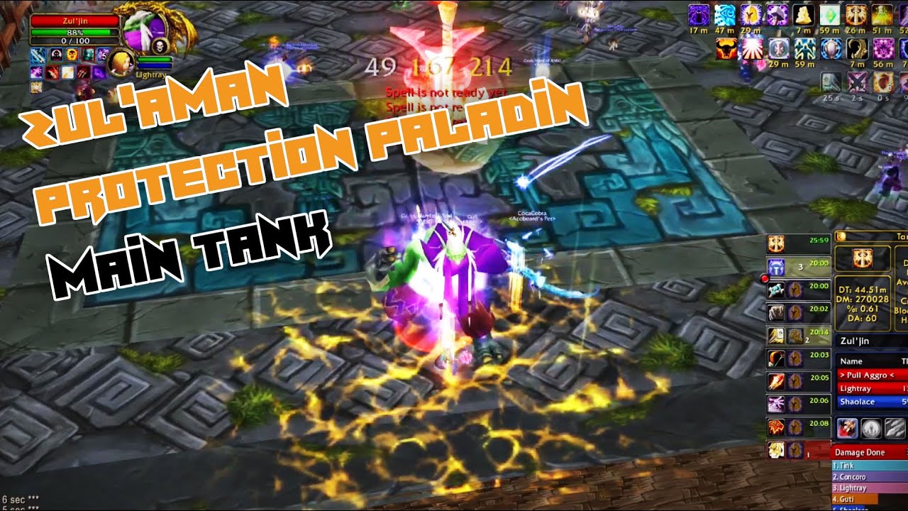 Zul'Aman Bear Run, Protection Paladin Main Tank