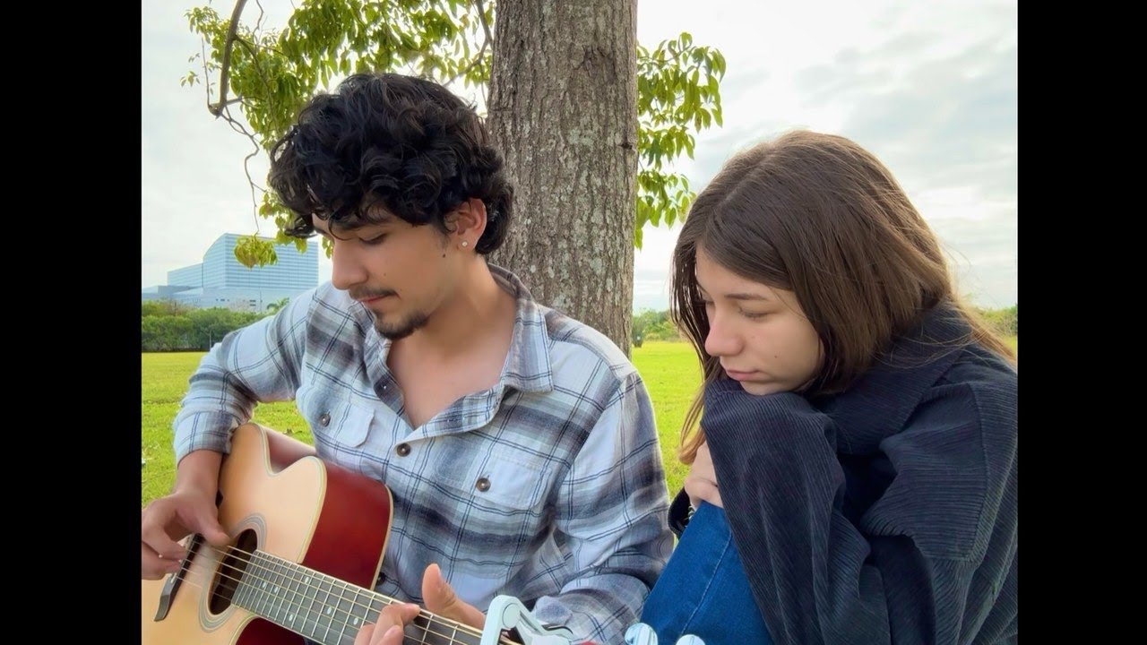 Flaws - Bombay Bicycle Club (Cover)