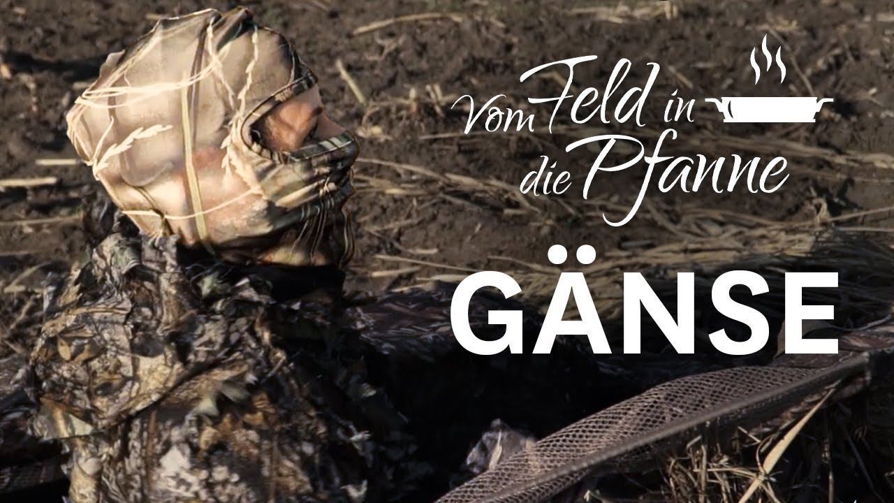 Gänsejagd in Nordfriesland Part 1/2 | JÄGER vom Feld in die Pfanne