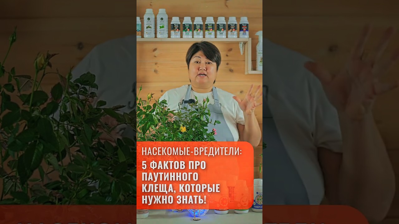 🕷️ ПАУТИННЫЙ КЛЕЩ: 5 страшных фактов! Почему он выживает при -28°C?