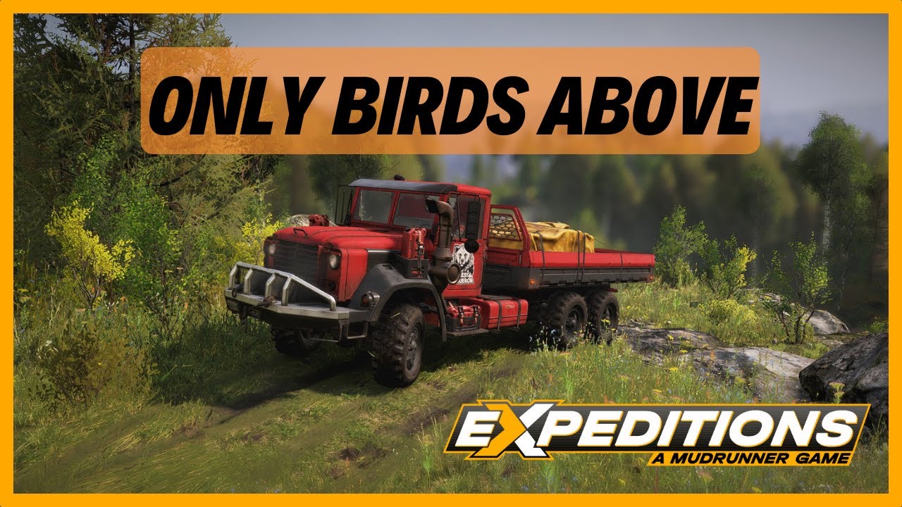 Expeditions: A Mudrunner Game | Only Birds Above | ANK MK38 Civilian | Carpathians