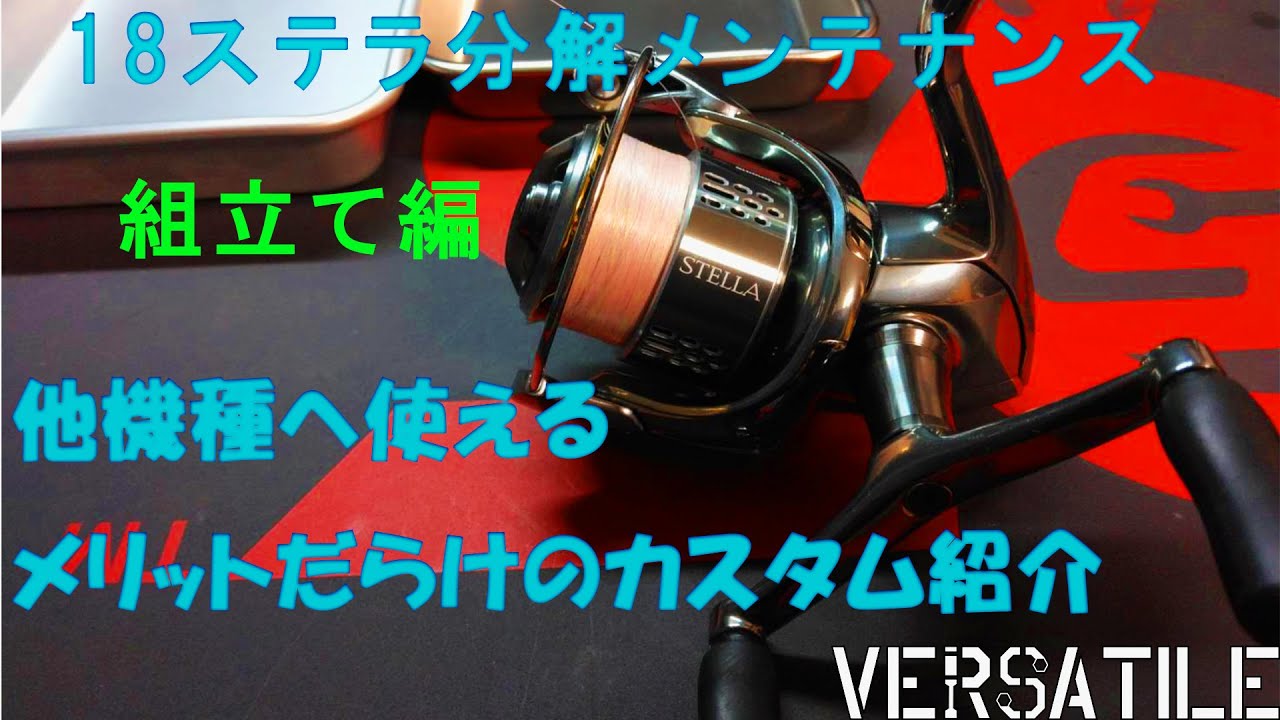 18ステラ組立てとカスタム紹介