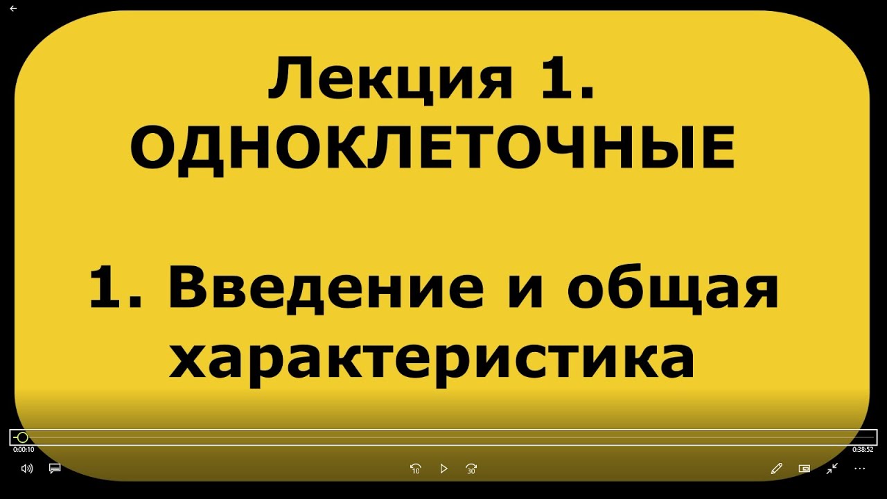Зоология беспозвоночных. Лекция 1. ч. 1. Введение и общая характеристика одноклеточных