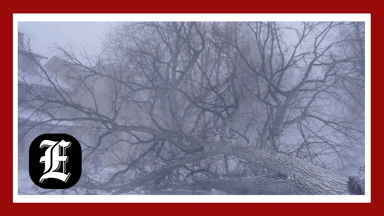 Winter storm deaths rise nationwide amid New York emergency declaration