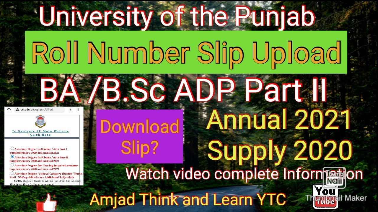 Associate Degree, BA/B.sc ADP Part II Roll Number Slip 2021 final Exam of Punjab University