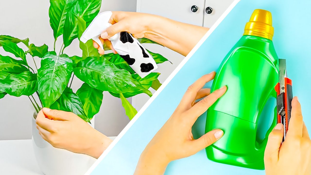 22 truques para plantas você deve experimentar🪴: dicas de cuidados, DIY e muito mais