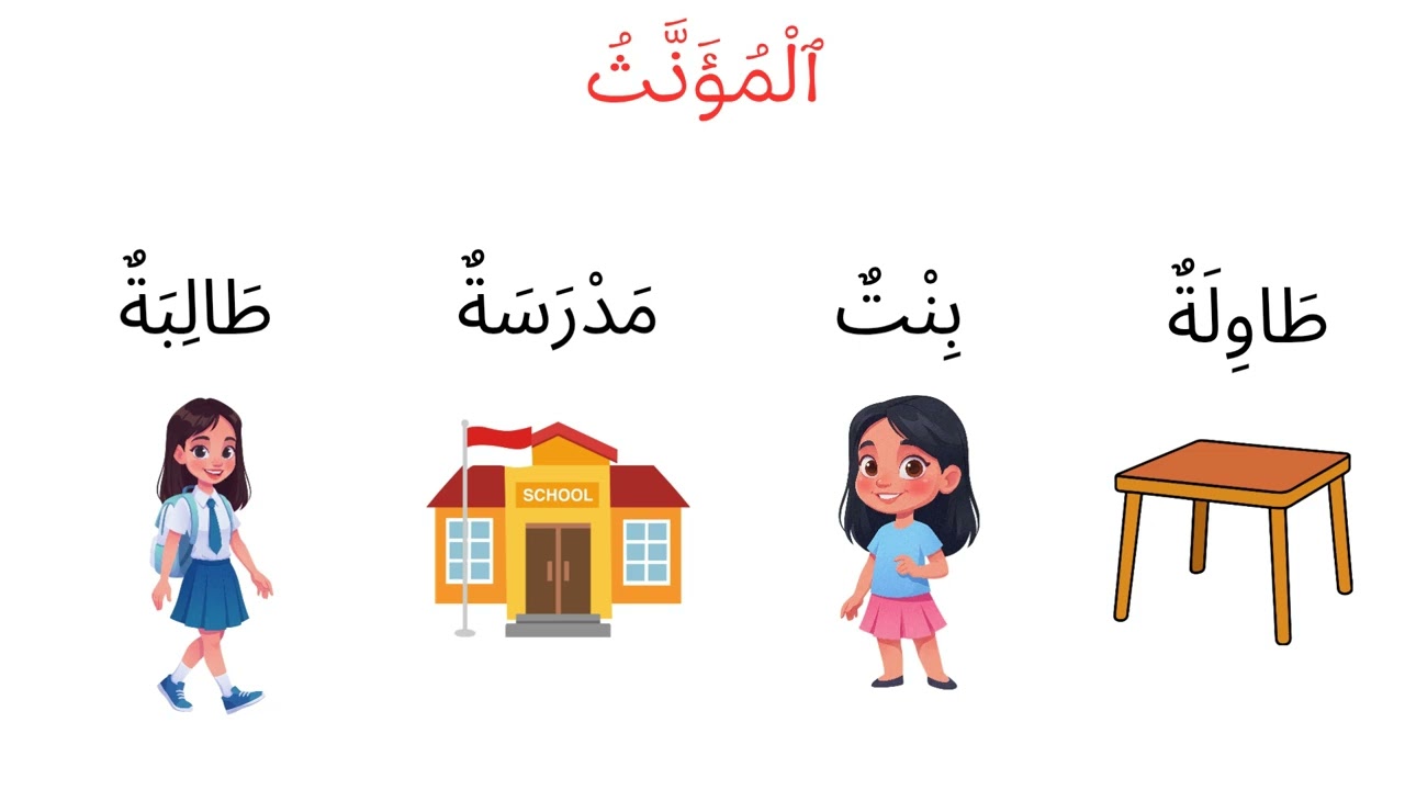 تعلم المذكر والمؤنث في اقل من 5 دقائق للمبتدئين 