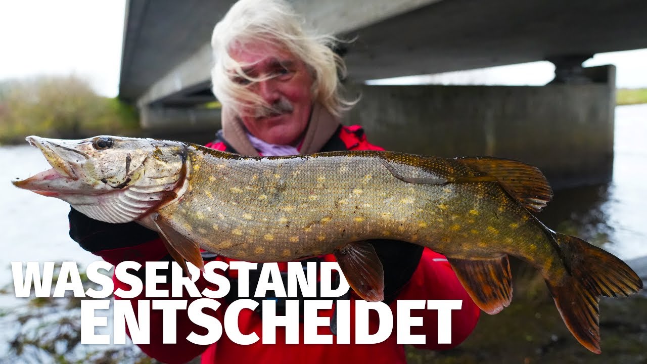 JETZT KNALLT'S: NACH dem HOCHWASSER auf HECHT & ZANDER - Treene mit JÖRG OVENS - Fang mal was (34)