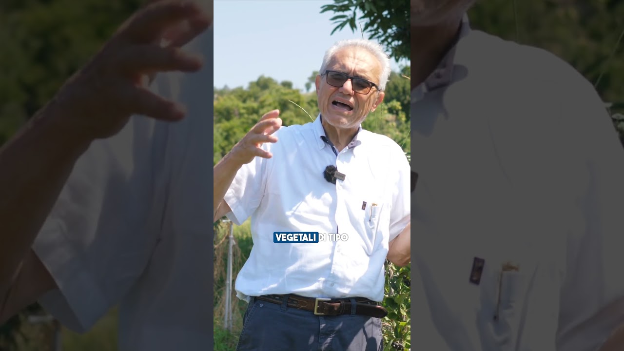 ANTIOSSIDANTI NATURALI per l'ESTATE: l'ARONIA! Parte 1 #shorts ort