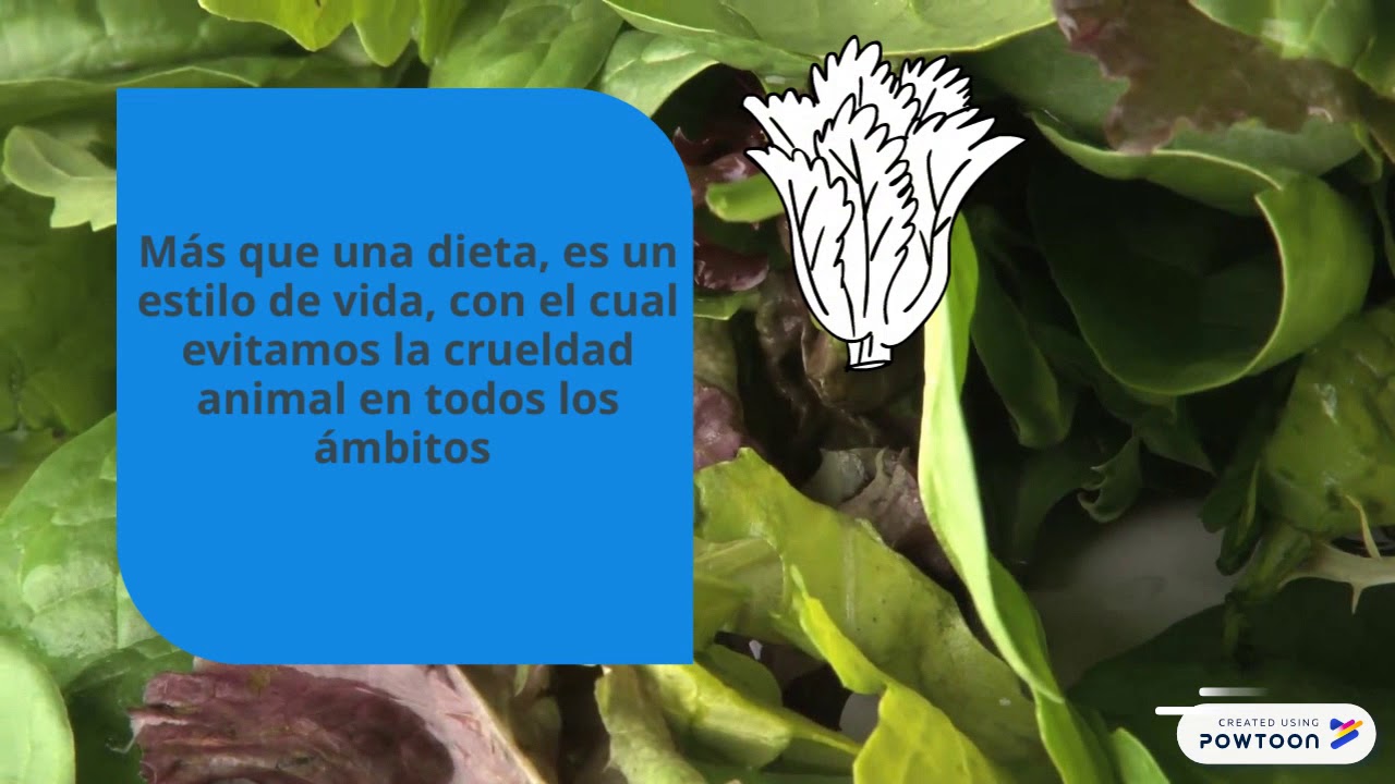 Dietas veganas