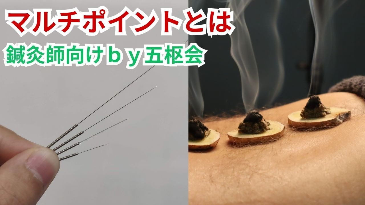 マルチポイントとは？