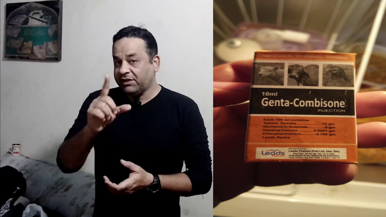 Aseel Flu | Murga Care  | Faisal butt