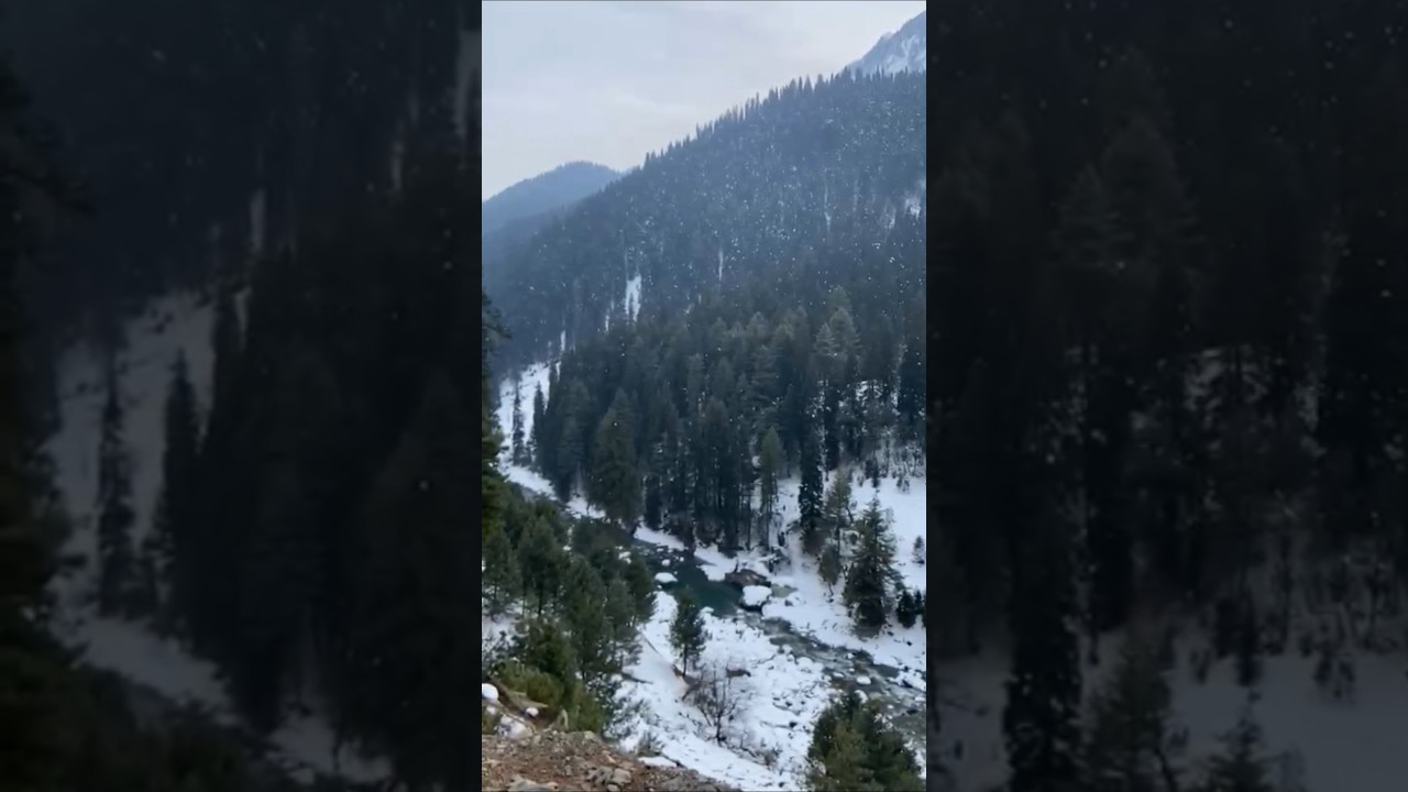 jannat e kashmir  #shortsfeed #nature #gulmarg #vinnyvlog_06