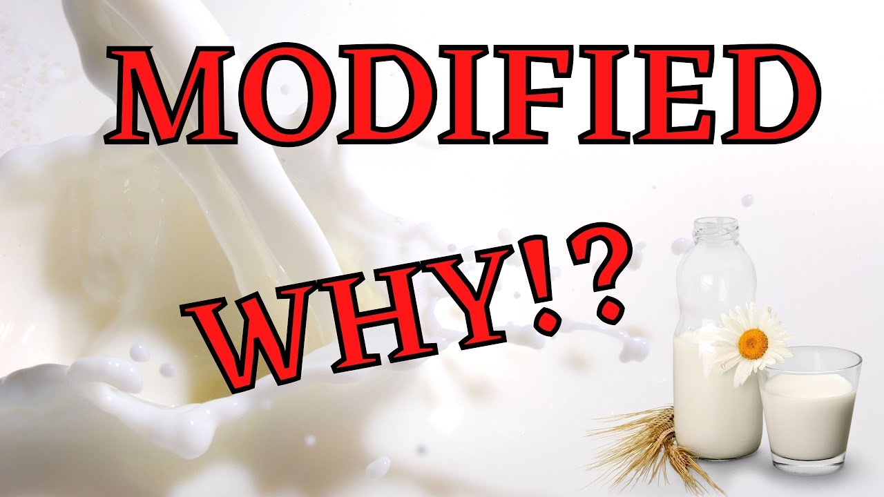 Modified Milk. Why? #milk #ingredients #Modifiedmiilkingredients