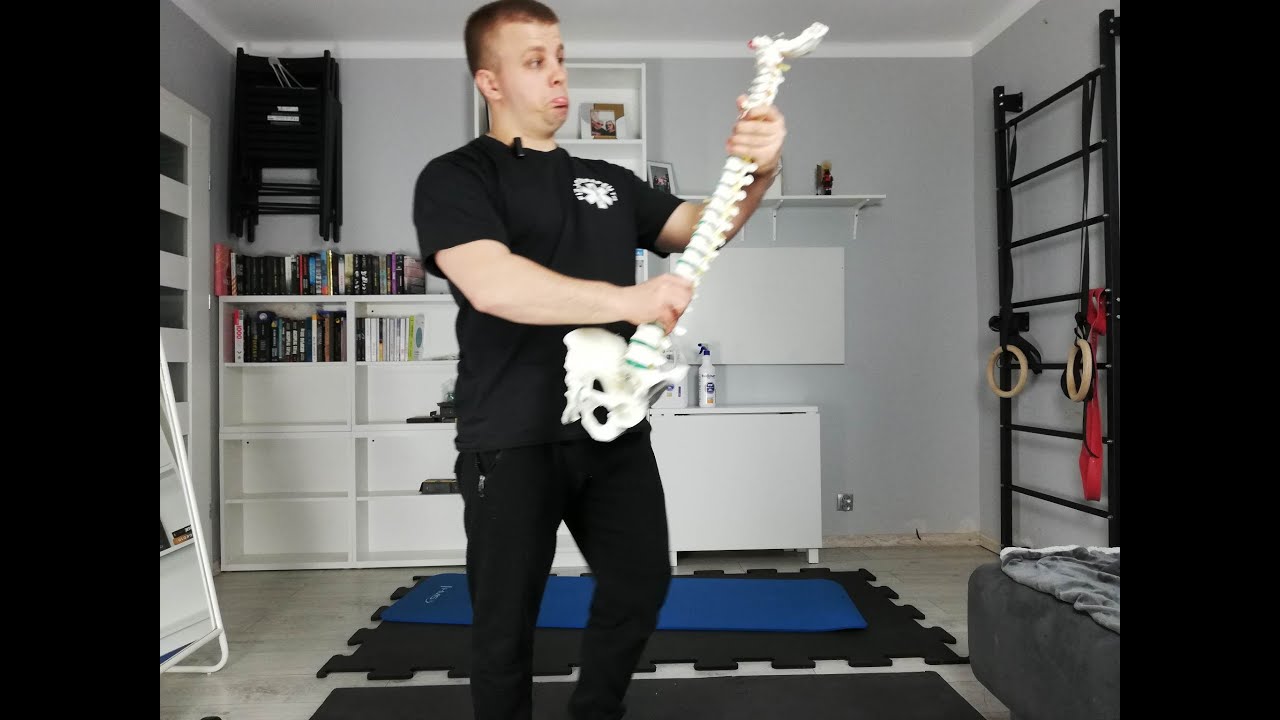 Anatomia kręgosłupa - PODSTAWY