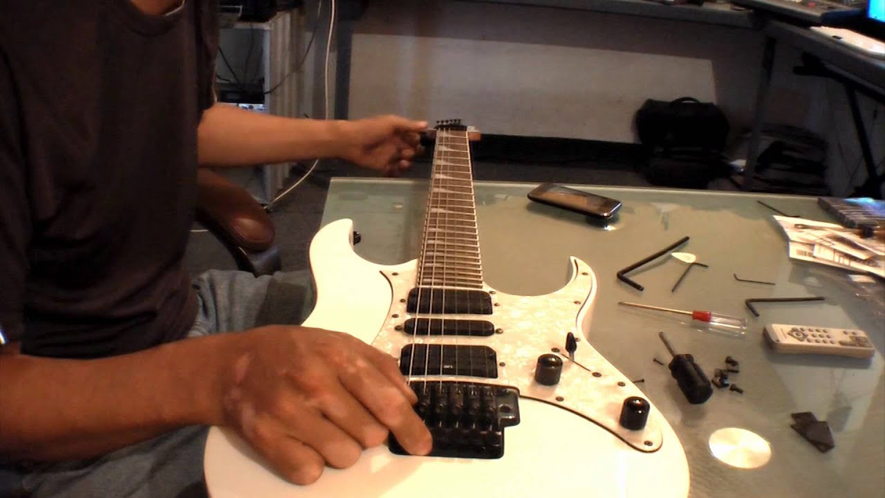 Floyd Afinacion Calibracion Guitarras Electricas