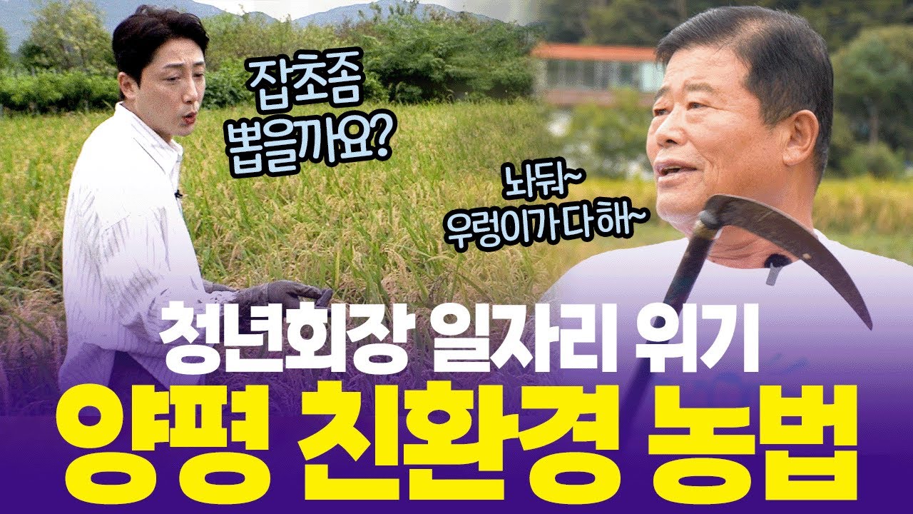 손헌수 거절당하다?! 우렁각시에 밀린 청년회장💦 [6시 내고향] | KBS 250922 방송