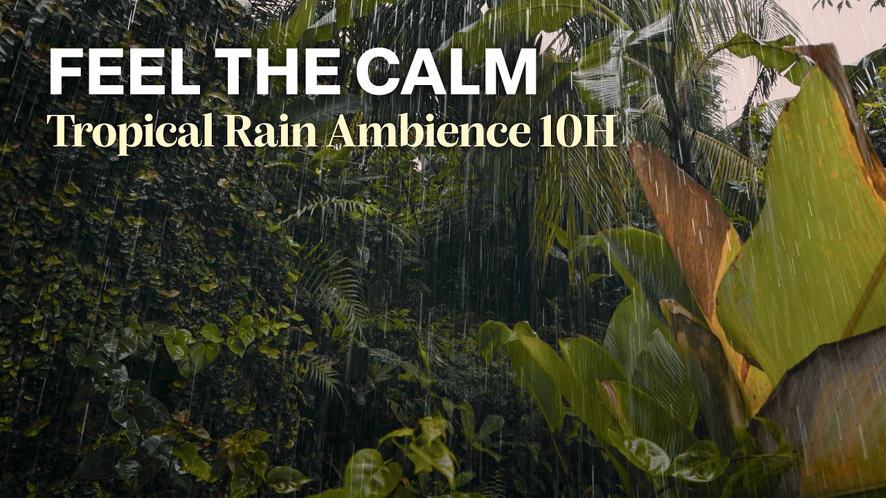 4K Tropical Rain on Lush Green Leaves | 10 Hours Natural Ambience for Sleep & Relaxation