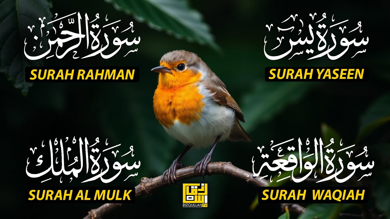 The Best Recitation Surah Yaseen (Yasin) | Surah Rahman | Surah Waqiah | Surah Mulk EP109