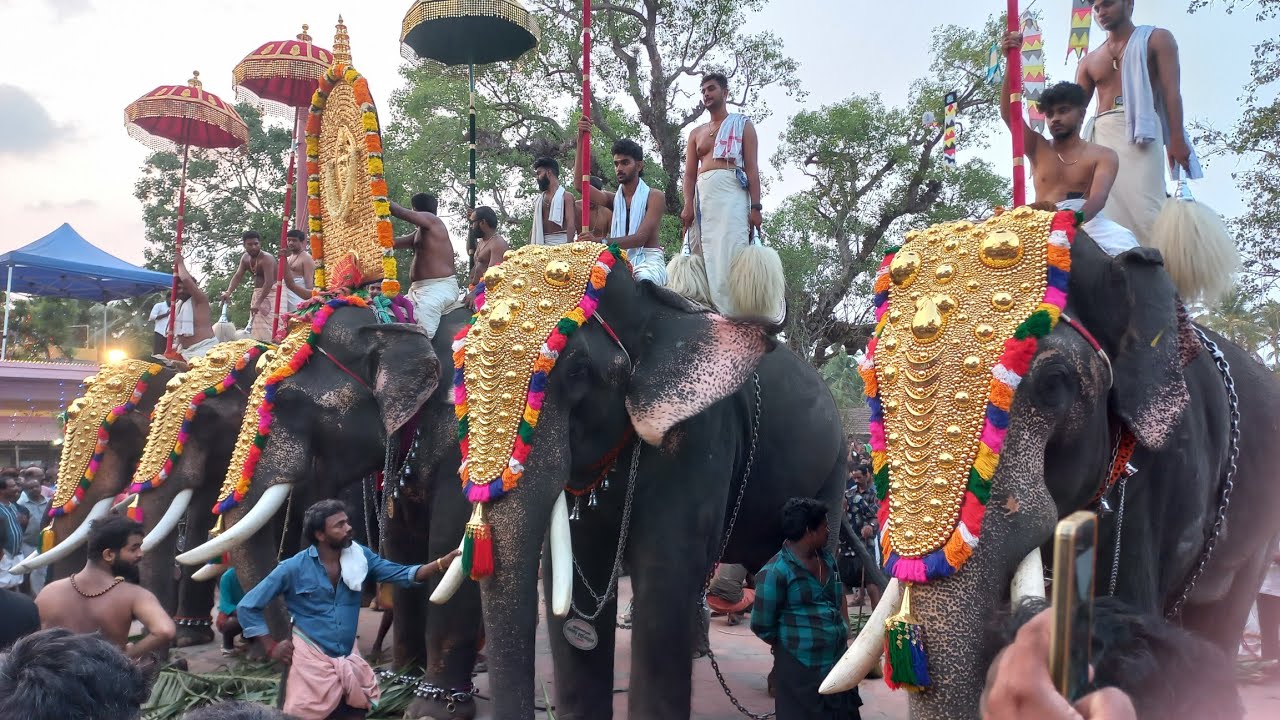 Kanda kurumba pooram 2024കണ്ട കുറുമ്പ കാവിലെ പൂരം2024 Ponnani.