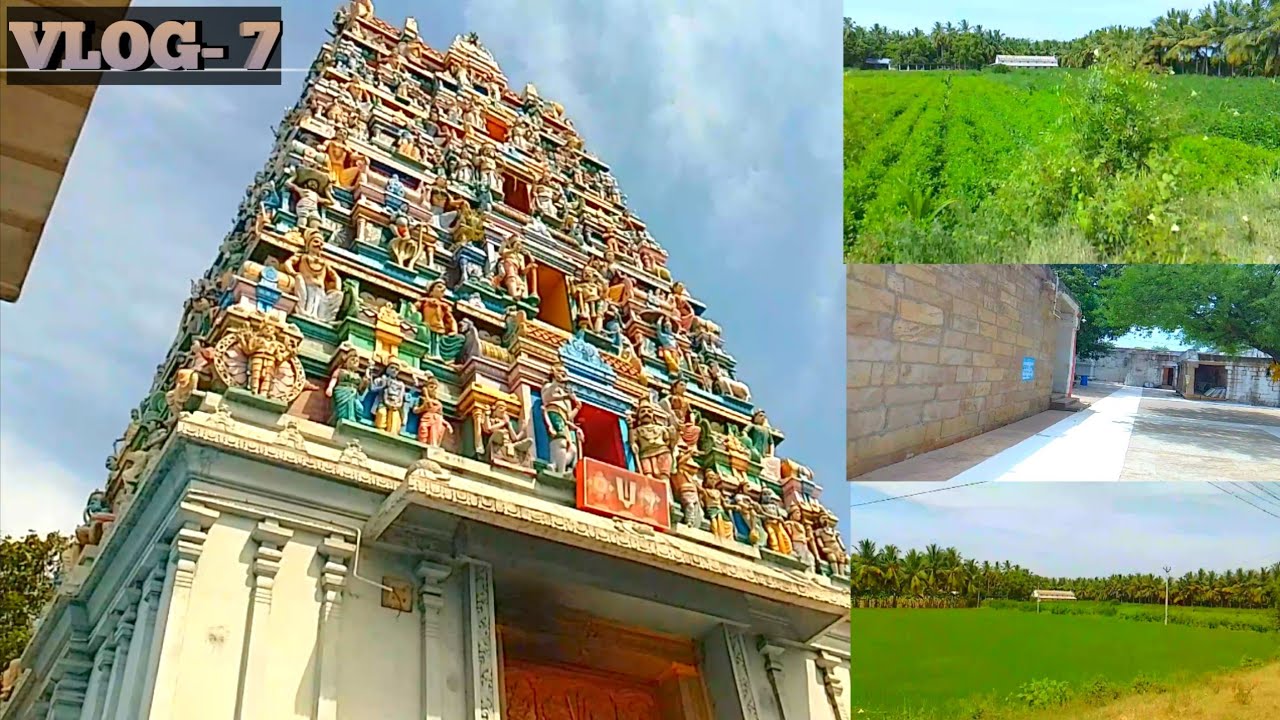 Road trip|குருவித்துறை குரு பகவான் கோவில் | VLOG |தமிழ்