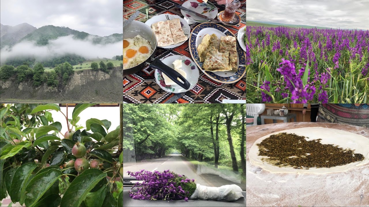 جمال الطبيعة والريف الاذربيجاني غابالا الساحرة بين الغيوم / امطار واجواء رائعة/Qabala Azerbaijan